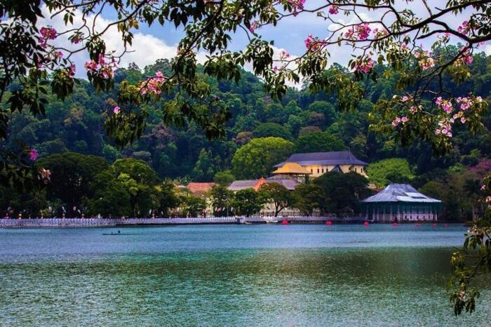 Red Chillies Tourist Inn Kandy Dış mekan fotoğraf