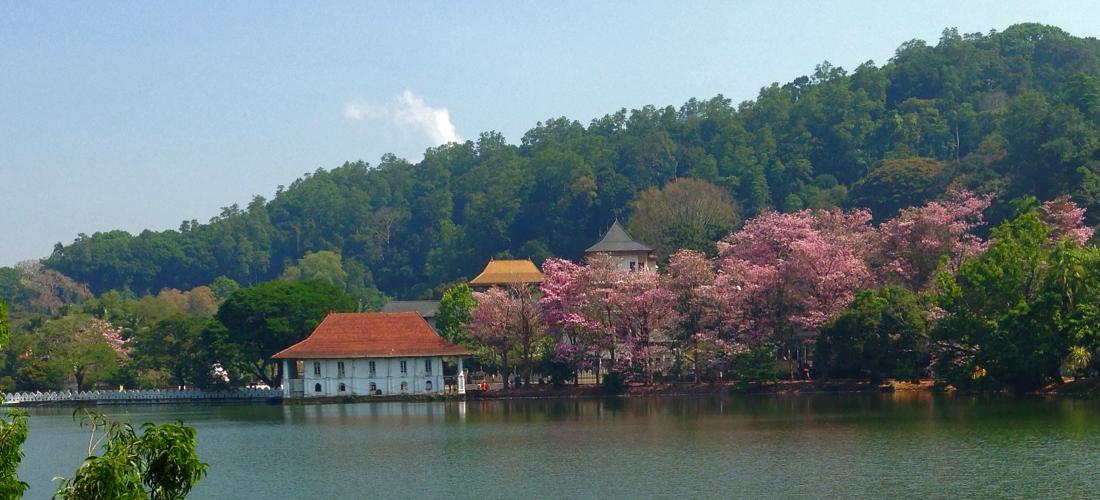 Red Chillies Tourist Inn Kandy Dış mekan fotoğraf
